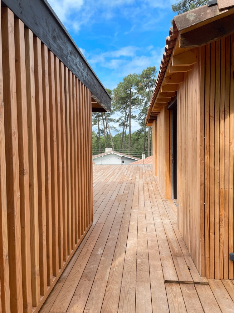 Architecture-bois-renovation-maison-cadrage-Landes
